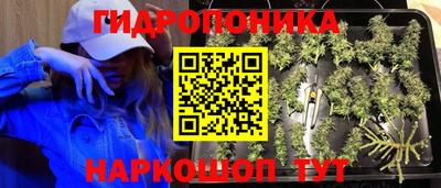 шишки Ирбит